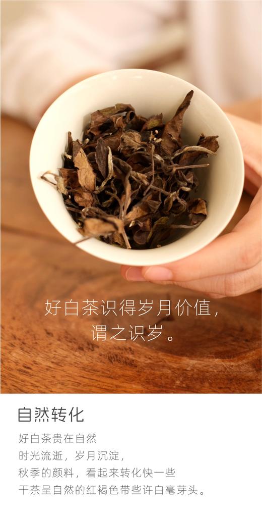 2015老白茶  50g/袋*10袋 商品图0
