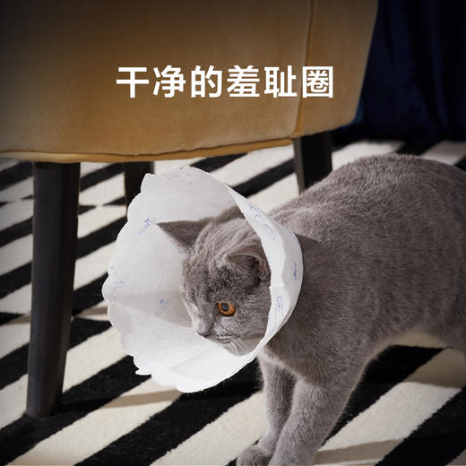 LORDE里兜伊丽莎白圈 商品图1