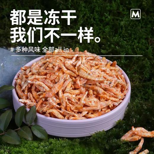 【主食伴侣小海鲜】冻干南极磷虾猫咪辅食增肥营养50g 商品图2