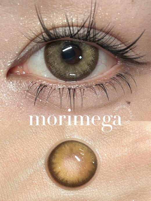 『日抛中直径』MoriMega-和平阳光14.2mm【日抛0-800度 无525/575】 商品图1