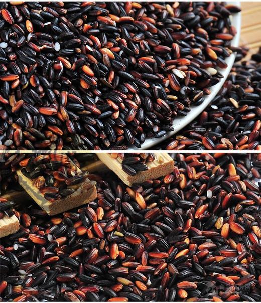 好品山东血糯米 商品图3