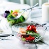 aderia经典款沙拉碗日本进口 透明玻璃碗水果沙拉碗北欧甜品碗 果碟三件套 商品缩略图1