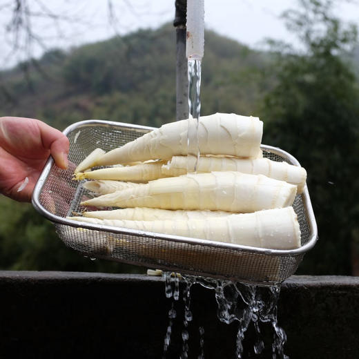 【下单后48小时发货】临安 天目山 春笋5斤装左右（15-25根左右） 商品图7