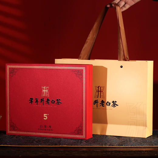 压箱底白牡丹茶叶福鼎老白茶福建高山花香白茶礼盒装 五年陈 商品图2
