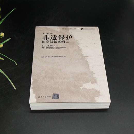 大美中国:非遗保护创意创新案例集 商品图4