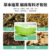 【草本植萃！日本蚊不叮叮叮滚珠】薄荷防蚊舒缓棒防蚊虫叮咬清凉叮消 商品缩略图1