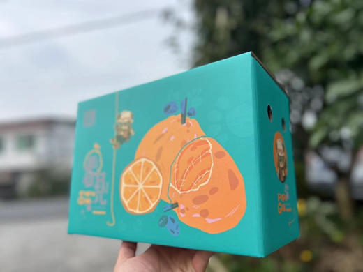 探秘熊🐻 🍊春见☘️耙耙柑
口感爆棚
每一个都甜蜜四溢，果味浓郁
原生态果园，不打蜡！静品果！
坚持最初的味道❤ 商品图6