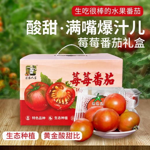 农家莓莓番茄  酸甜多汁  水果西红柿  适合生吃  一口爆浆 450g×3礼盒装 商品图0