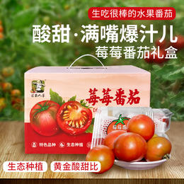 农家莓莓番茄  酸甜多汁  水果西红柿  适合生吃  一口爆浆 450g×3礼盒装