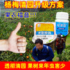杨梅树清园专剂大鹏松脂酸钠松清园果树介壳蚧壳虫矢尖蚧粉蚧杀虫 商品缩略图3