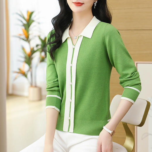 CC-103-7775    polo衫长袖上衣春装女2024年新款女士毛衣洋气漂亮针织打底衫 商品图0
