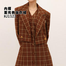 -栗壳色连衣裙HJ1S22