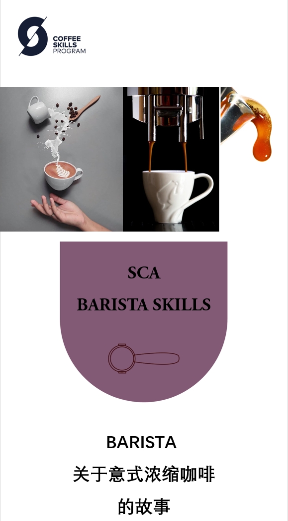 【SCA咖啡师】 浓缩咖啡技艺师初中级认证课程（含考证费）倪楼欢老师【王力精品咖啡学堂】
