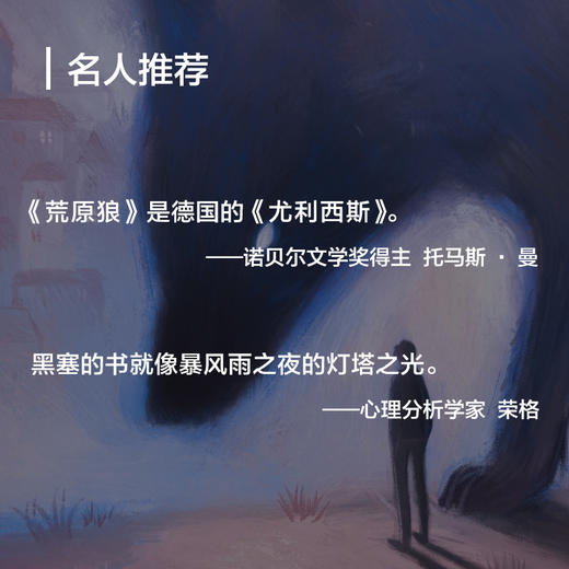 荒原狼 赫尔曼·黑塞 著 文学 商品图2