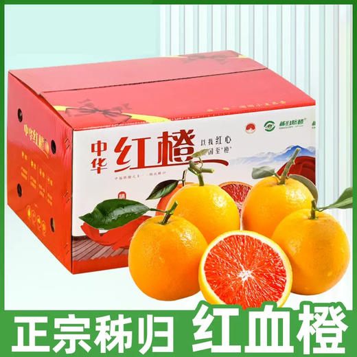 新鲜水果  秭归中华红血橙10斤箱装（带箱） 商品图0