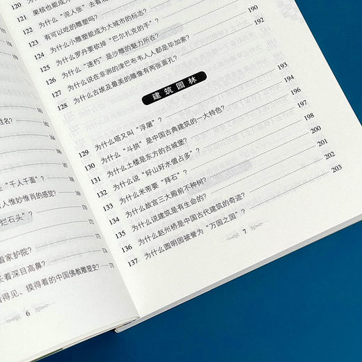 人文社科 十万个为什么 美术 青少年科普读物 中学生课外阅读 文史哲常识普及 商品图7