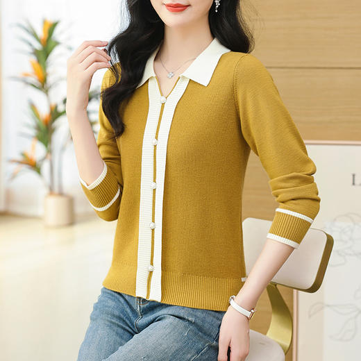 CC-103-7775    polo衫长袖上衣春装女2024年新款女士毛衣洋气漂亮针织打底衫 商品图3