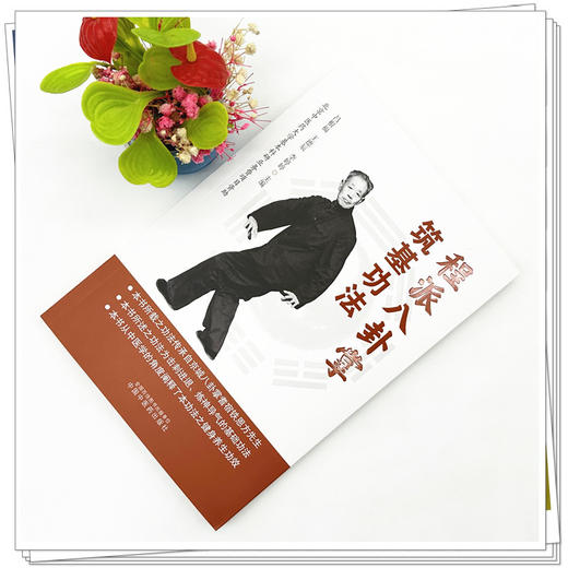 程派八卦掌筑基功法 昌根福 王德辰 李婷婷 主编 中国中医药出版社 中医养生功法 商品图1