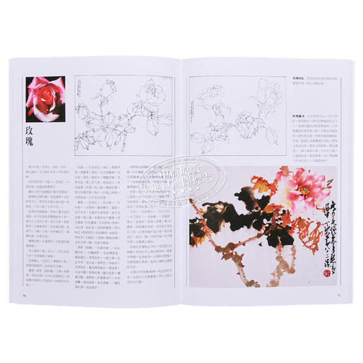 【中商原版】实用绘画学 港台艺术原版 赵少昂 艺术图书出版 商品图4