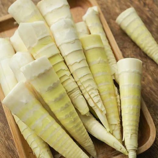 【下单后48小时发货】临安 天目山 春笋5斤装左右（15-25根左右） 商品图6