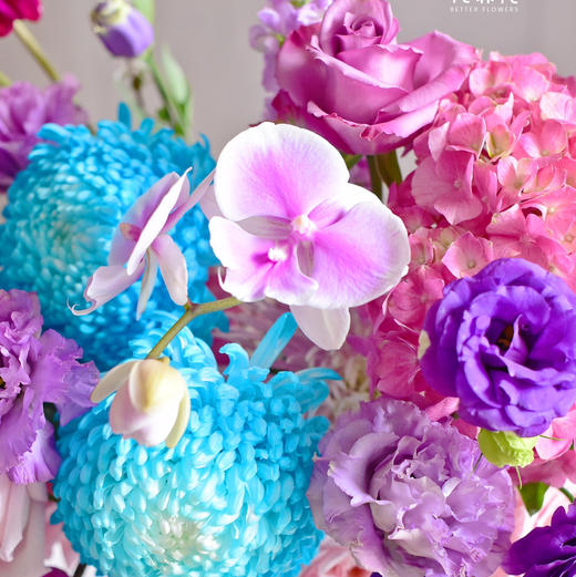 《紫气东来》牡丹菊藏宝图紫色桔梗新年插花 商品图4