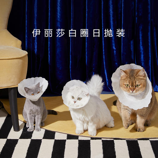 LORDE里兜伊丽莎白圈 商品图4