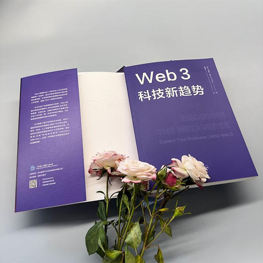 Web3 科技新趋势 克里斯·达菲 著 经济 商品图2