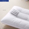 富丽岛家纺学生决明子枕芯 商品缩略图2