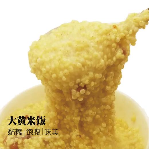 【东北大黄米新米】350g/包|天然黏糯绵软弹牙|黏粘米五谷杂粮米饭伴|糯粽子米糕 商品图2