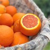 新鲜水果  秭归中华红血橙10斤箱装（带箱） 商品缩略图4