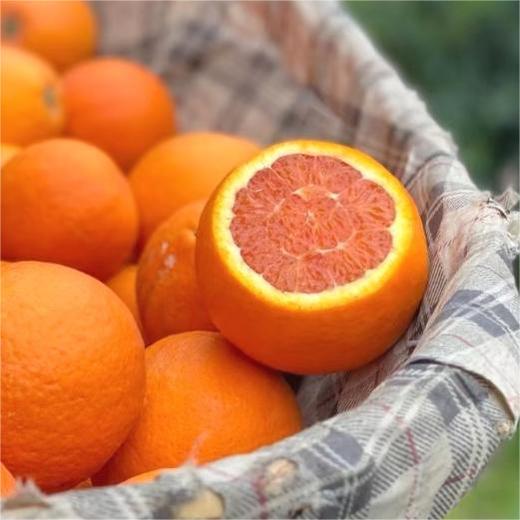 新鲜水果  秭归中华红血橙10斤箱装（带箱） 商品图4