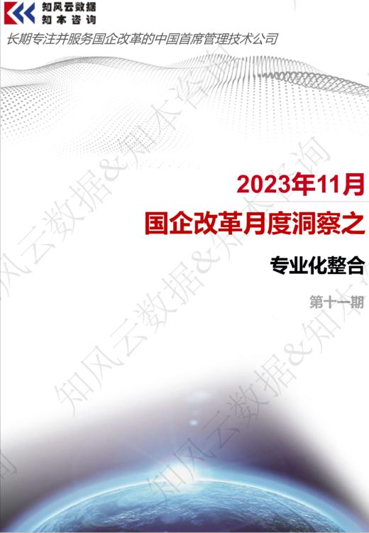 2023-11月国企改革月度洞察之专业化整合 商品图0