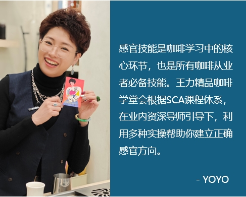 SCA 感官技能 中级+CVA 双证班