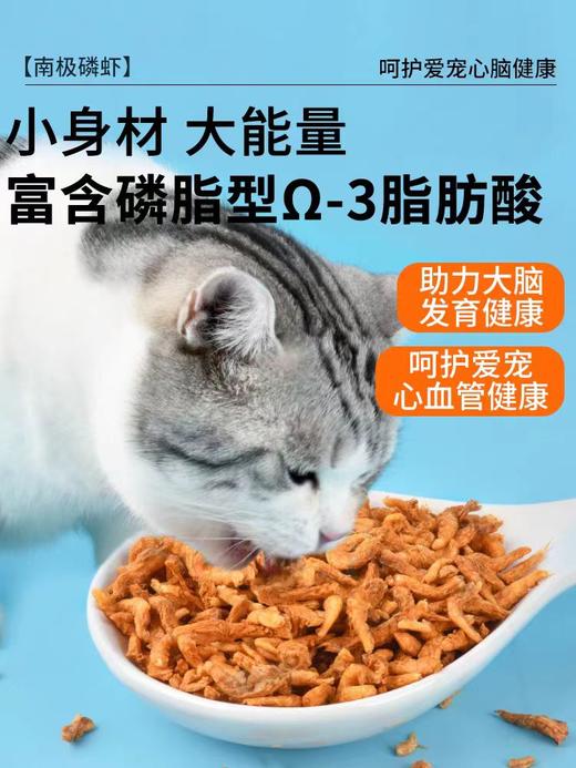 【主食伴侣小海鲜】冻干南极磷虾猫咪辅食增肥营养50g 商品图1