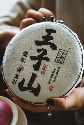 2021【曼松王子山黄金叶】传奇贡茶历史，天子独宠上百年