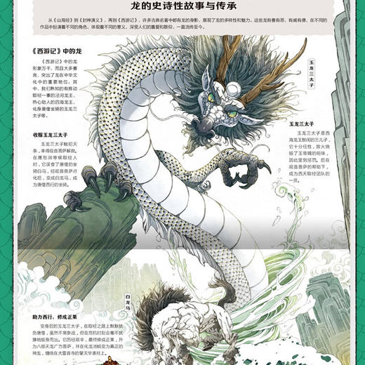 东方有龙 精装绘本一本关于中国龙的百科书 商品图4