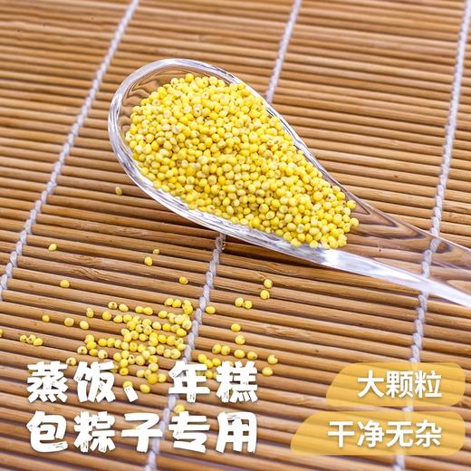 【东北大黄米新米】350g/包|天然黏糯绵软弹牙|黏粘米五谷杂粮米饭伴|糯粽子米糕 商品图4