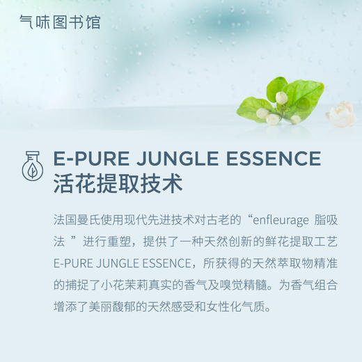 【清冷茉莉香】气味图书馆江南烟雨茉莉身体乳215ml/沐浴露295ml/香水50ml 商品图9