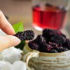 有机即食冻干桑葚 organical freeze-dried dried mulberry 商品缩略图2