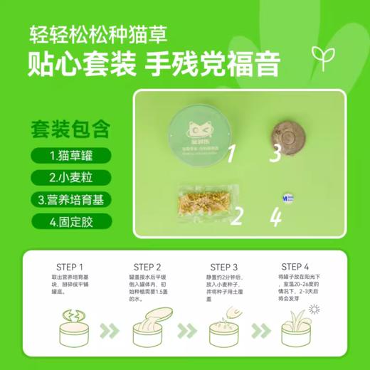 猫草猫薄荷化毛球懒人种籽种子 商品图1