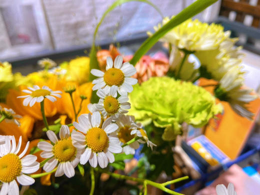 精选瓶花•【未来可期】向日葵森系〔下单新鲜搭配〕不加花瓶 商品图7