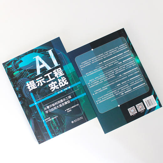 AI提示工程实战：从零开始利用提示工程学习应用大语言模型 兰一杰 于辉 著 北京大学出版社 商品图2