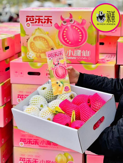 📦芭乐乐小魔仙～双拼树熟芭乐💝2.2kg（基地量贩） 商品图0