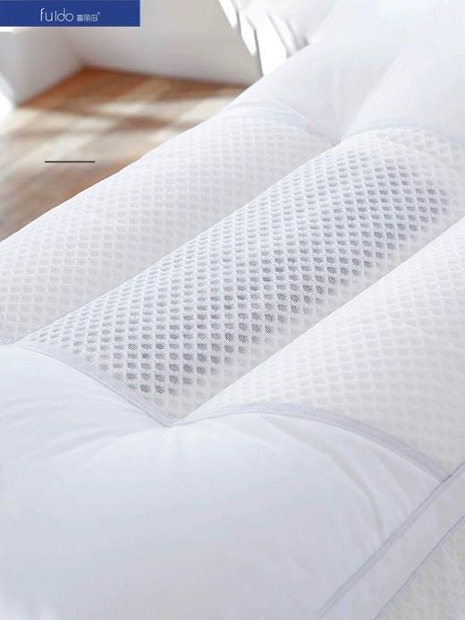 富丽岛家纺学生决明子枕芯 商品图1