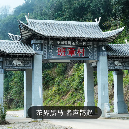 【越陈越香 新班章】精选2016年头春古树茶； 8年干仓陈化，茶中的上上品，性价比巅峰！云南勐海茶区普洱茶生茶，每饼357克 ， 拍5发6  拍10发12 商品图7