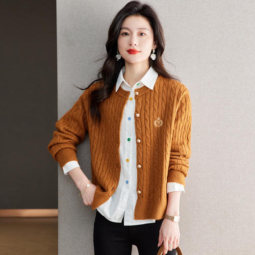 CC-QLS6666外套女款2024新款春秋长袖复古麻花开衫针织衫短款上衣外套潮 商品图3