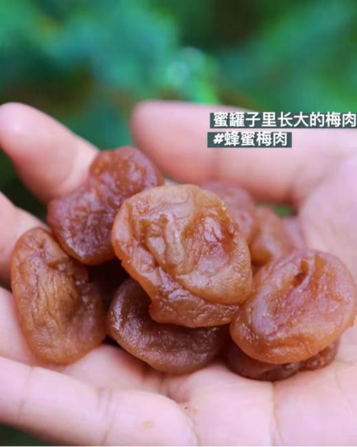 😍只要不停产，我能吃到80岁‼️【饴心梅蜂蜜梅肉】好吃绝了！👍山姆同厂出品！酸甜软糯，越吃越上头！90%的人吃完都回购❗️🌟 商品图1