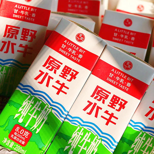 破价每月限时团『原野水牛纯牛奶』浓醇丝滑，自然甘甜，每盒含8g乳蛋白 商品图4