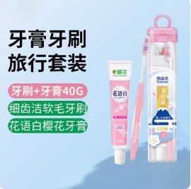 日本狮王袋式旅行套装（细齿牙刷+牙膏40g） 商品图0