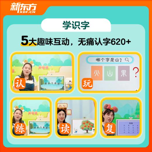 【新东方】预备一年级 五合一 拼音+识字+字母+数学+对话 幼小衔接一盒搞定 商品图4